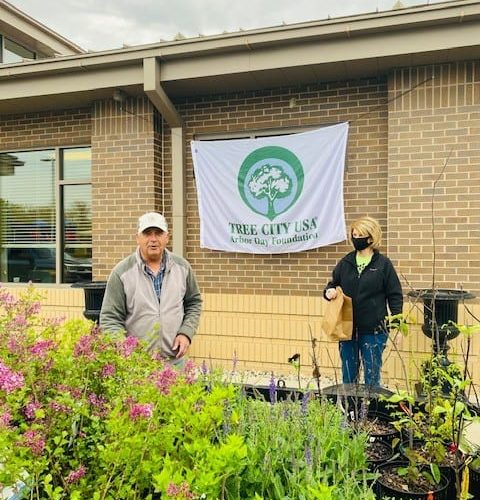 Image of two people standing behind plants