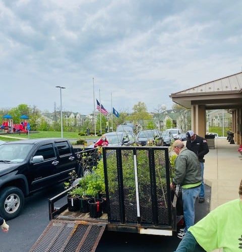 Gathering plants on a trailer